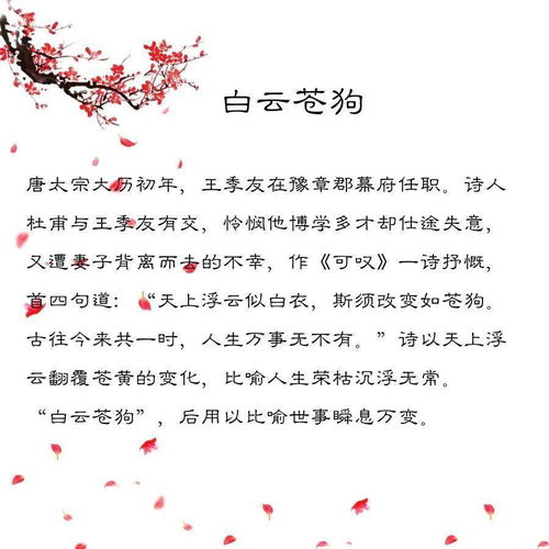 镜花水月是什么生肖