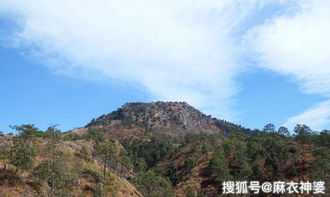 麻衣神婆非常逼真的仙人掌风水宝地 