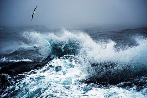 老红帽游南极 3 德雷克海峡