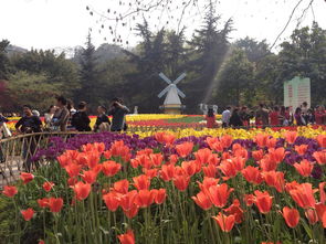 花卉园有什么好玩的 重庆花卉园小区周边配套怎么样