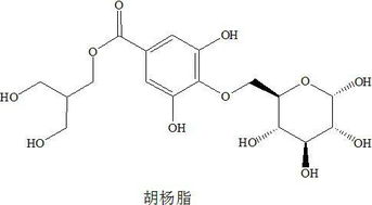 什么植物的脂肪含量最高?