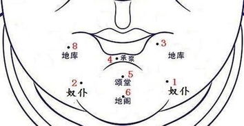 地库有黑痣,富裕几辈子 下巴痣相命理详解 