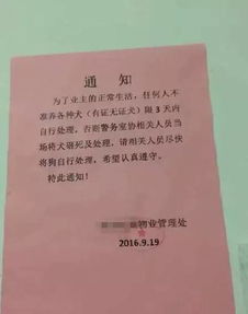 物业通知 本小区禁止养狗,请15天内处理,否则后果自负....