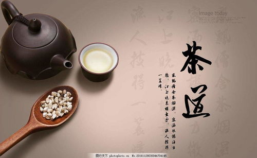 有关茶文化的知识(茶道入门茶道基本知识)