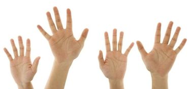 人的5个手指的名称分别是什么 