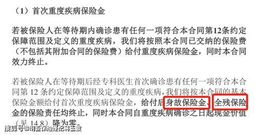 中意人寿悦享一生重大疾病保险,中意人寿悦享安康的投保规则是什么