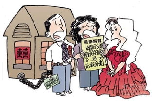 中国婚姻法离婚条例