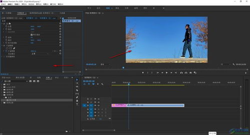 adobepremiere pro7.0简体中文版