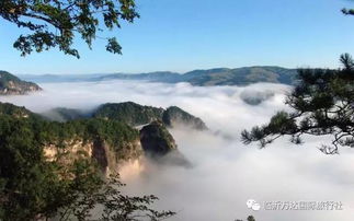 探秘神农架 纯玩武当山 