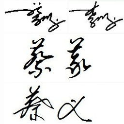 我的名字叫蔡义,谁能帮我设计个艺术字签名谢谢 尽量容易学点 再次表示感谢