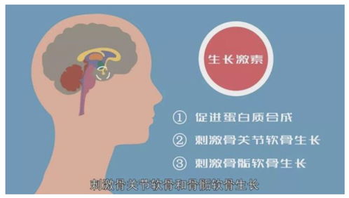 春天孩子长的最快 掌握这四点,疫情之下孩子长高不用愁