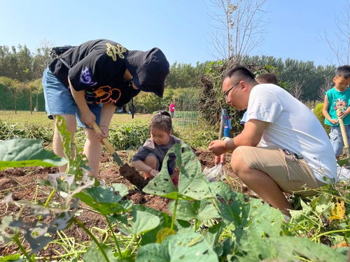 新学期开学给孩子们制定一个种植计划吧