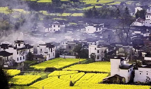 广东往返 婺源 黄山,行摄中国最美油菜花海,烟雨婺源人家,登黄山之顶