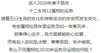 从出生日期,看你鼠年爱情 工作和健康运势走向