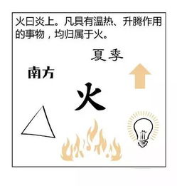 漫画讲解如何看八字,阴阳五行原来如此 