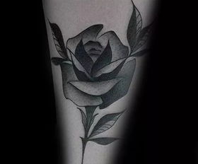 纹身 黑玫瑰