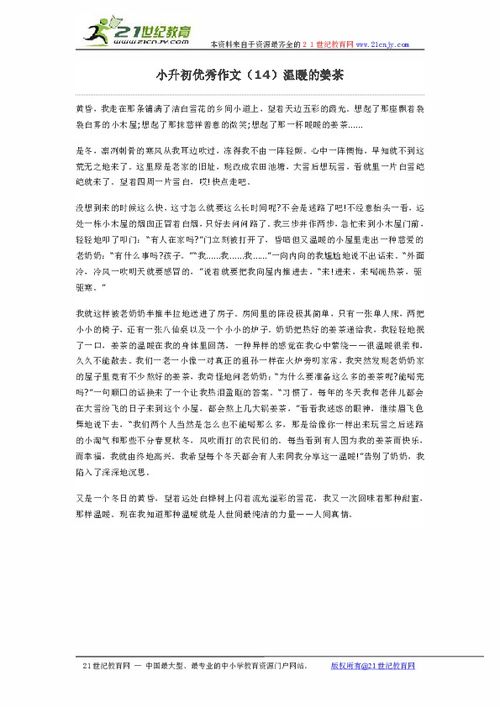 温暖的浓汤作文400字