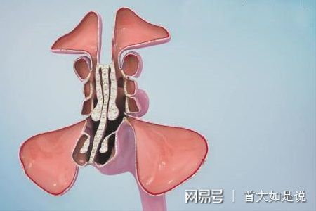 首大陈潜 先治鼻炎 鼻甲肥大手术莫盲目