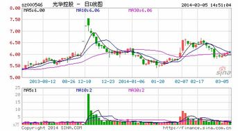 光华控股为什么没有分红