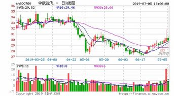 ST黑豹这个股票是什么公司的，具体做什么的啊?