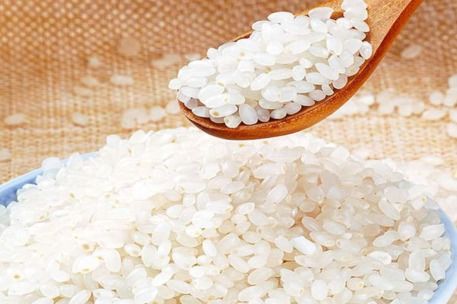 粳米和糯米的区别,糯米和粳米有什么区别？