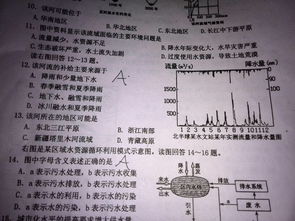 “十三”还有和解释？