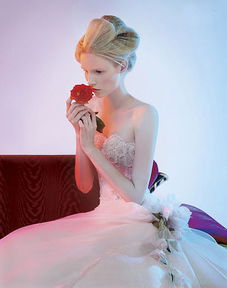 2007气质新娘 童话公主最爱婚纱