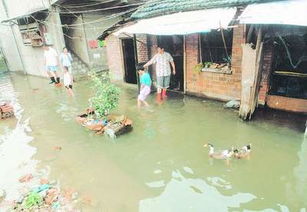 合肥大水淹了居民住宅楼 