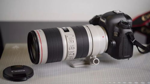 姗姗来迟的佳能 爱死小白伞 EF70 200mm F2.8L IS III USM终到站