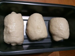 白面包的做法大全 白面包家常做法 好豆 