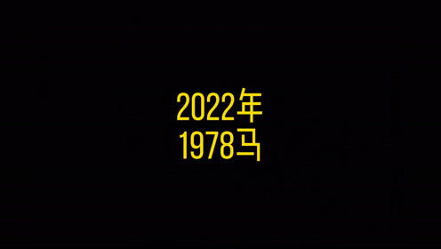 2022年1978马