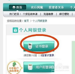 中国农业银行网上银行用户登录名是什么(农行pos机登录是什么用户名)