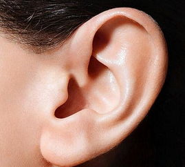外耳道炎有哪些症状