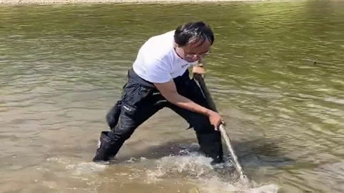 农村大叔河里发现一条大鱼,拿着铁锹连拍三回,大鱼被拍晕了 