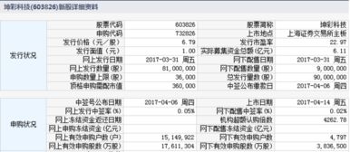 科林电气新股上市能涨到多少钱