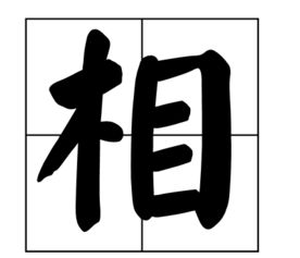 字谜 双木不成林 打一字 