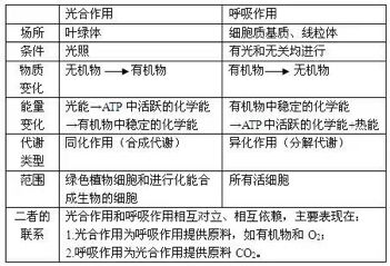 功能和作用的区别