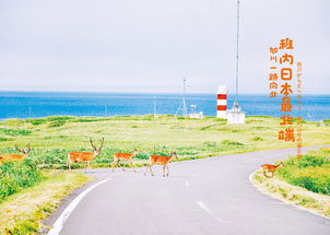 北海道风景图片大全 图讯阅读基地 百奇图讯 Bqatj Com
