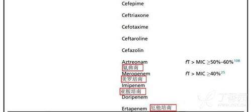 如何优化肺炎的抗感染治疗策略