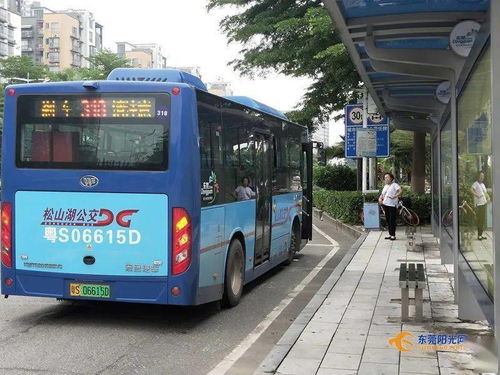 东莞中心城区83条公交线路调整