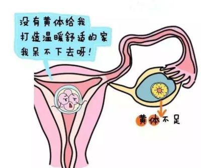 胚胎移植术后为什么要一直用黄体酮,阴道用药和注射哪种效果好