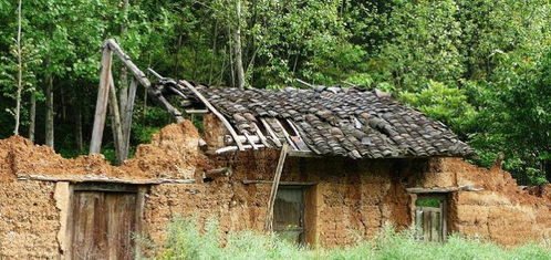 农村房屋有人的时候能住几十年,没人的时候几年就塌了,啥原因