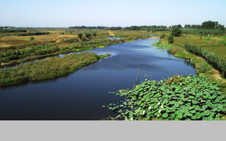 污水沟