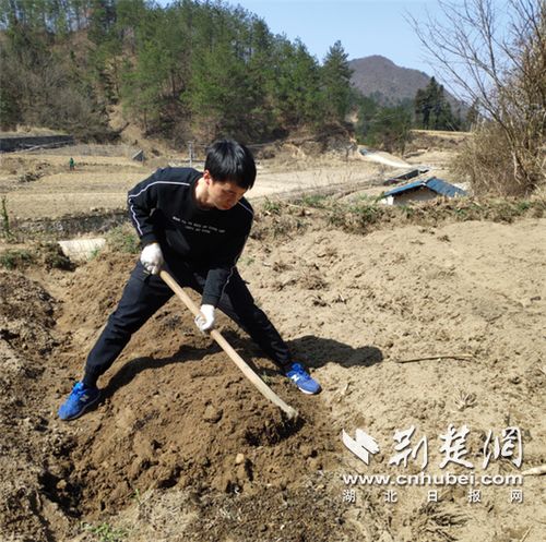 爬山上课 下地春耕 滞留在家退伍大学生的 田园生活