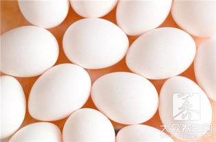 鸡蛋加白糖有毒吗 