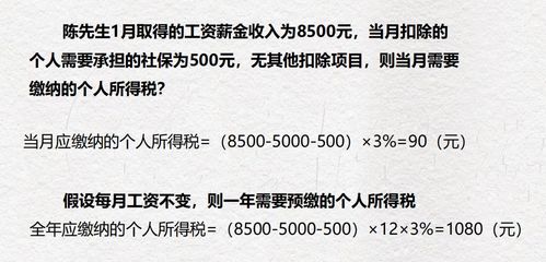 个人所得税案例分析毕业论文