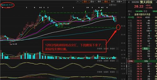 600229这只股票下周走势如何？