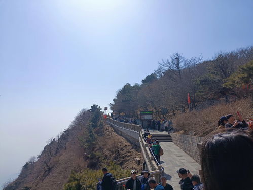 济南 泰山一日游攻略 