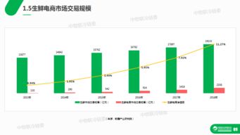 生鲜电商冷链物流研究报告 39页PPT