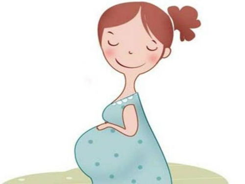 怀孕三个月能吃什么？三个月的孕妇吃什么最好
